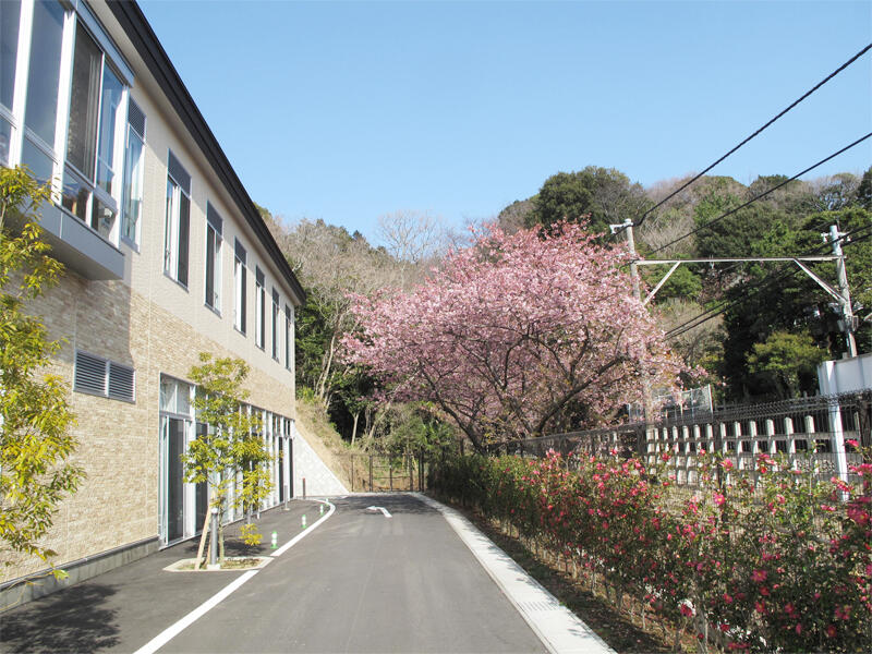 外観2の画像